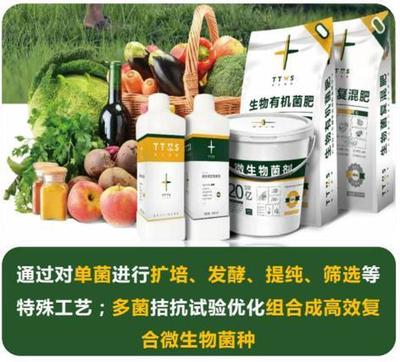 從辣椒加工到菌肥生產(chǎn)，她用五年搶占南方市場(chǎng)！_南方plus_南方+生物有機(jī)肥料研發(fā)