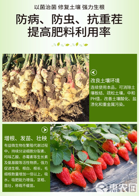 土傳病克星 復(fù)合微生物菌劑的研發(fā)與應(yīng)用