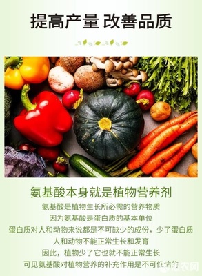 微生物有機肥與氨基酸肥料的協同創新 復合氨基酸原粉、水溶肥及葉面肥的生物有機肥料研發